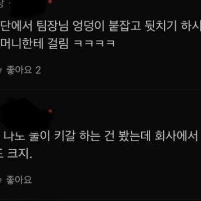 제당센터 불륜