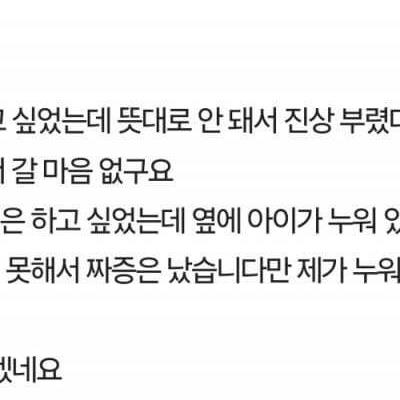 비행기 빈자리에 아기 눕혀서 항의했다는 판글 상대방 본인 등판