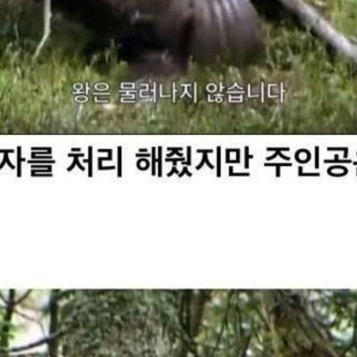 자연계 분노조절 장애자의 최후.