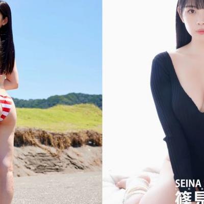 seina shinomi