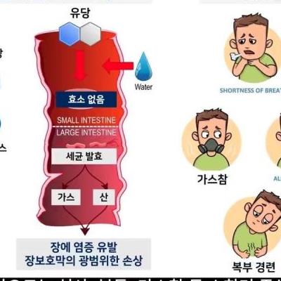 우유가 한국인에게 끼치는 영향