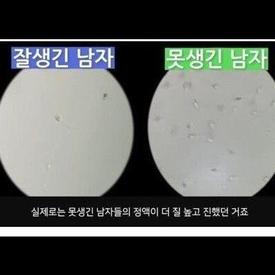 못생긴 남자의 정액이 더 우수한 이유