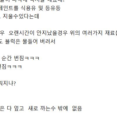 동덕여대 ㅈ됨 (현직 페인트업자)