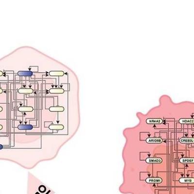 암세포를 정상세포로 되돌린다…KAIST 신기술 개발