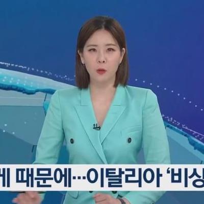 이탈리아를 점령해서 작살내는 꽃게