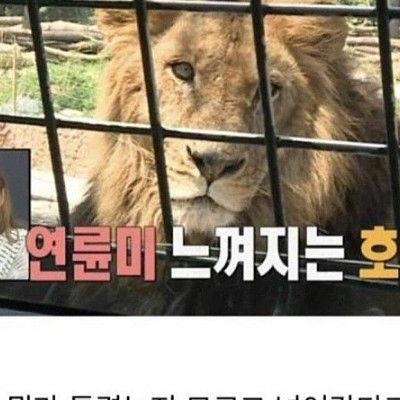 나혼자산다 레전드 방송사고