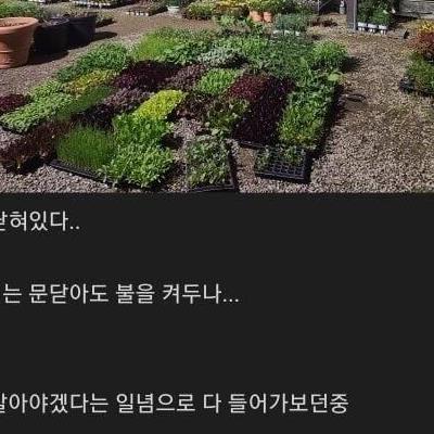 결혼 기념일 까먹은 자의 후기