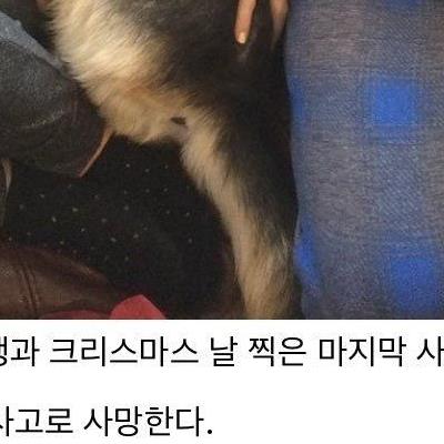 인생의 끝 즈음에 찍힌 사진들