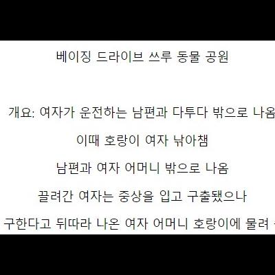 중국 호랑이 공원의 사고 스케일