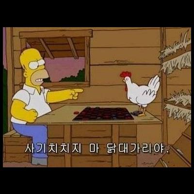 대한민국은사기공화국?.jpg